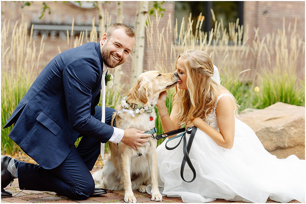 Flower collar for dog at wedding